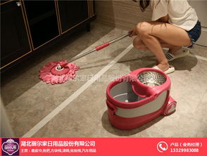 跨领域品质坚守 烟台丽尔家日用品与电子产品销售的融合之道